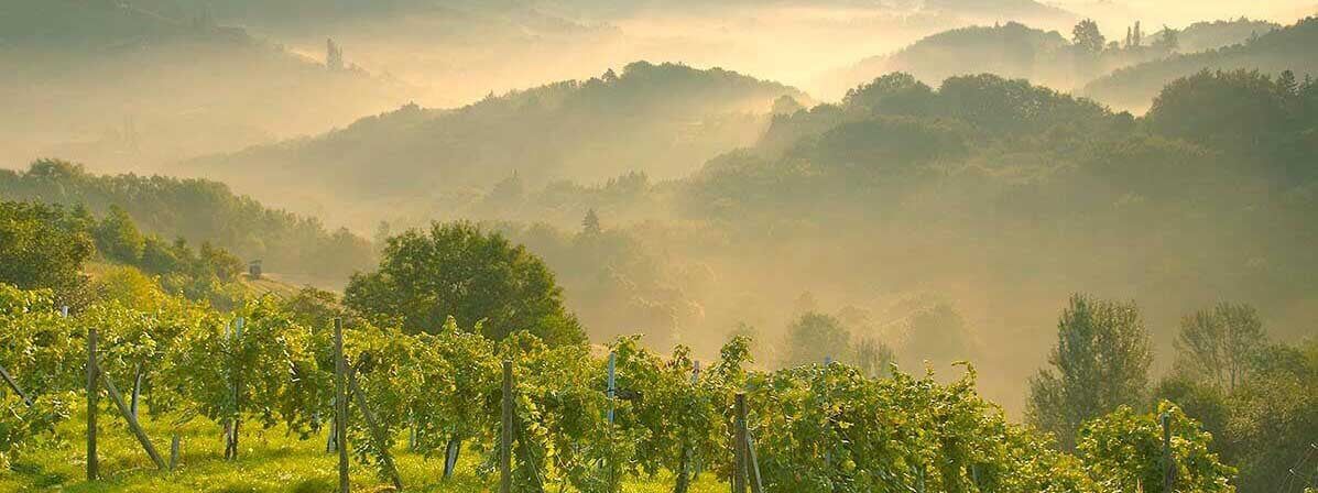 Vinoble Cosmetics - Handmade in Austria