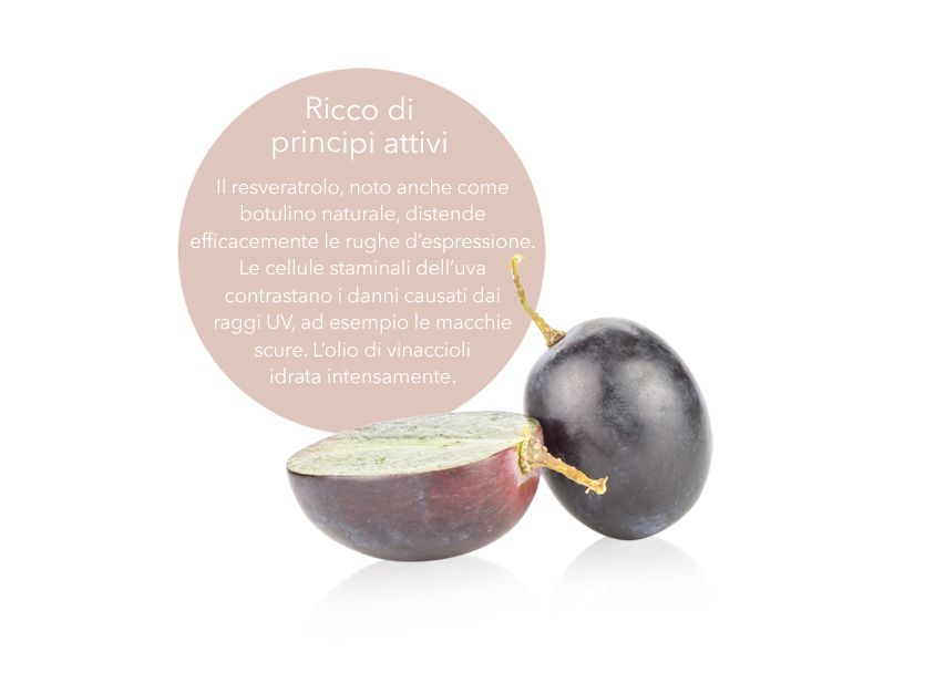 Ricco di principi attivi